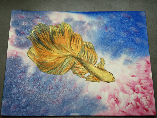 Watercolor painting: Siamese fighting fish