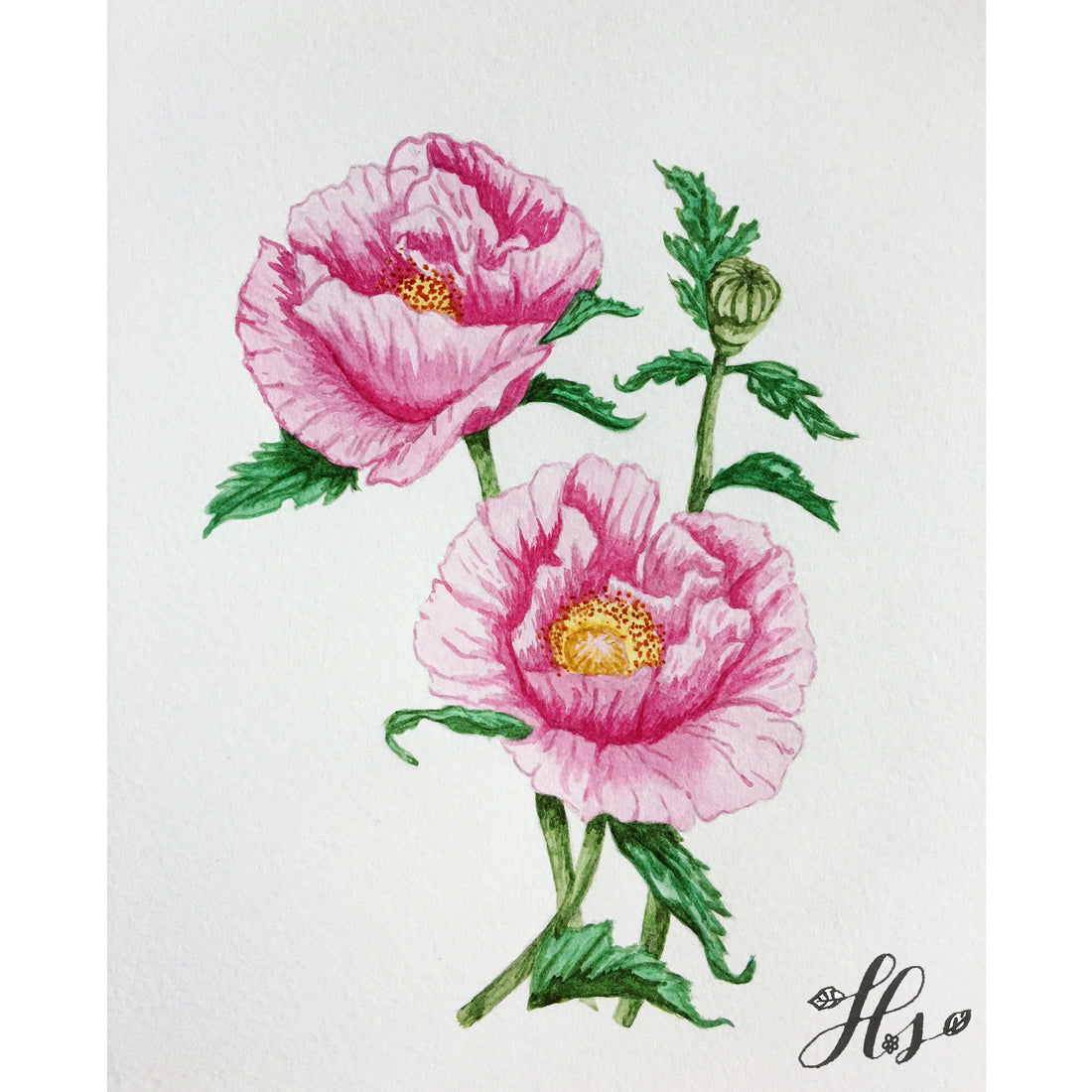 Video: Botanical watercolors