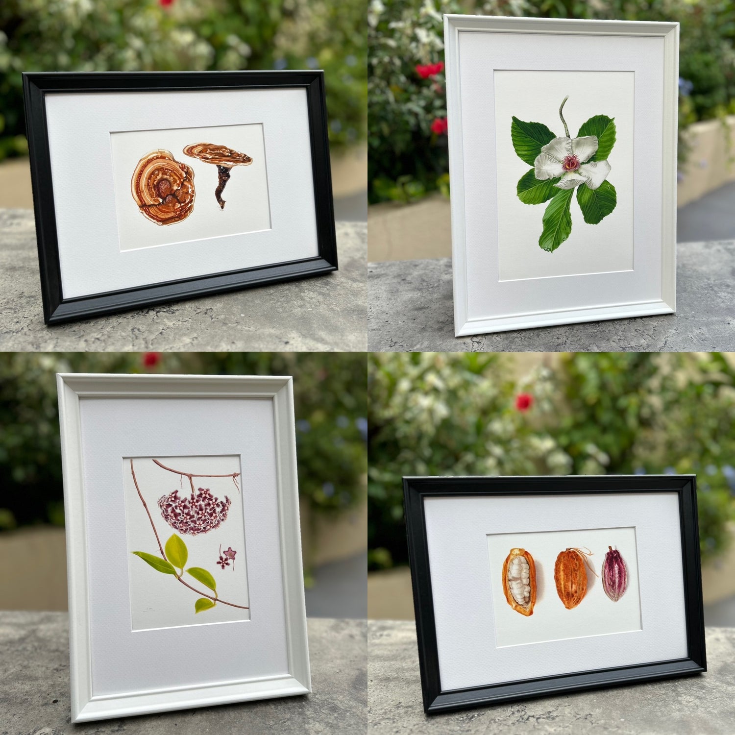 Archival Giclée Prints