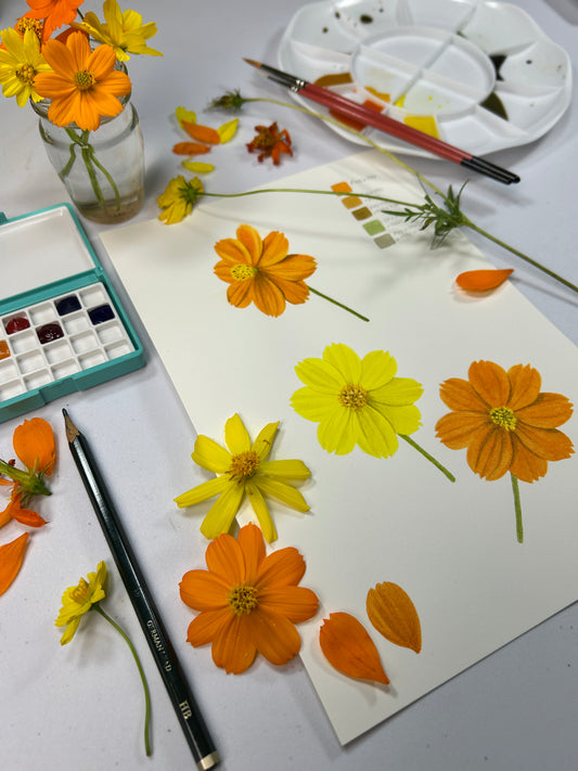 Introduction to Botanical Art: Beginner Course