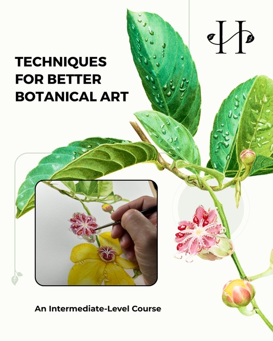 Techniques for Better Botanical Art, Part 1: Essential Skills