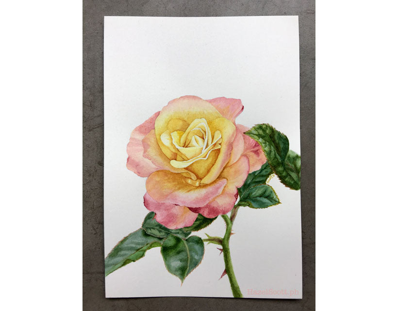 May Botanical Painting: Rose