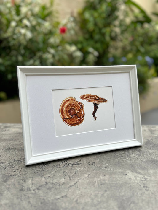 Bracket fungi Giclée Print